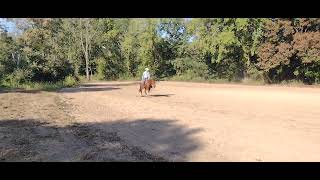 Video 1
