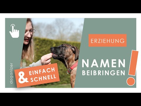 Online Hundeschule: Dein Hund hört nicht auf dich?  | Namenstraining | Hund Namen beibringen?