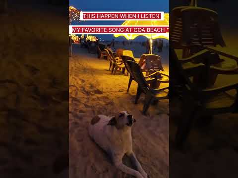 #Goa #funnydogvideos
