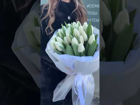 видео  25 белых тюльпанов