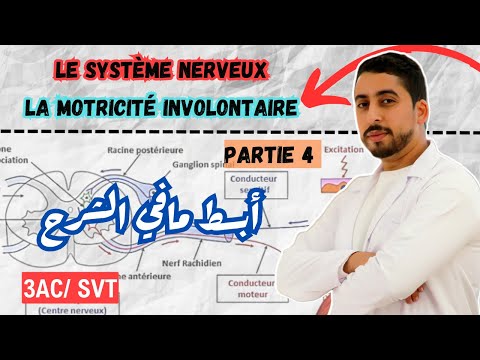 3AC : La motricité involontaire | Partie 4 - Système nerveux 🚨أبسط مافي الشرح ‼️