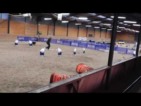 Seminar Wendy Willemse with Juno