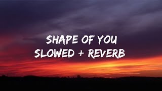 Download lagu Ed Sheeran - Shape Of You (Lyrics) Slowed Reverb mp3 Download lagu Ed Sheeran - Shape Of You (Lyrics) Slowed Reverb mp3