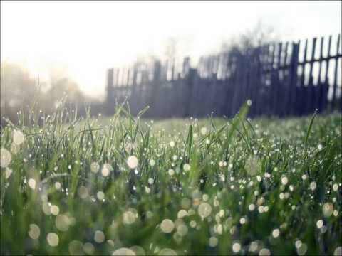 Aephoria - Beyond logic (Original mix)