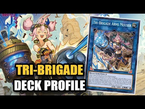 A Rogue Contender! Tri-Brigade Branded Deck Profile Post Burst Protocol
