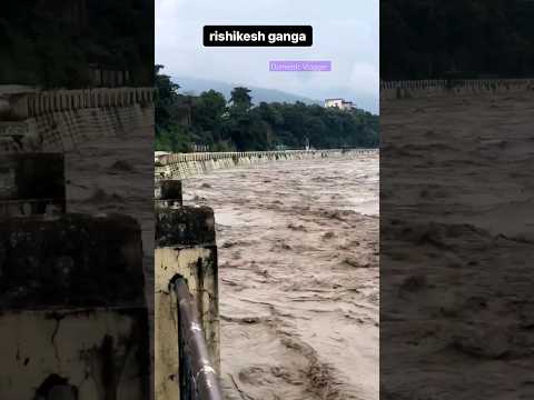 Ganga water flow in Rishikesh #rishikesh #gangariver #haridwar #yamuna #flood #raining