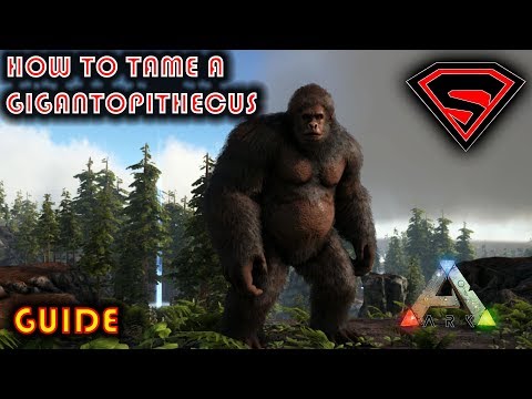 ARK HOW TO TAME A GIGANTOPITHECUS 2019 - BEST WAY TO TAME THE GIGANTOPITHECUS