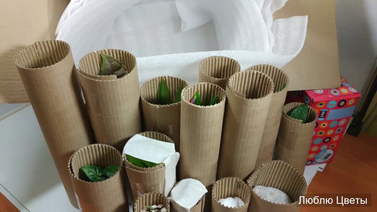 Купить В Старом Осколе Упаковку Для Цветов