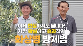 화상병 방제 고민 끝! 사과 & 배 명인이 알려주는 특급 방제 노하우