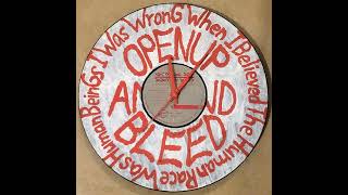 James Williamson  Open Up And Bleed - With Carolyn Wonderland