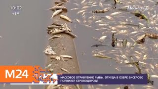 Отчет о рыбалке озеро бисерово