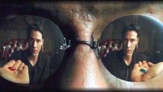 You are a Slave, We are ALL Slaves...