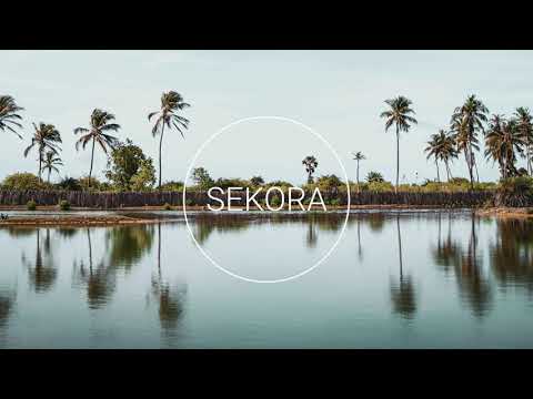 49th & Main - Catching Eyes