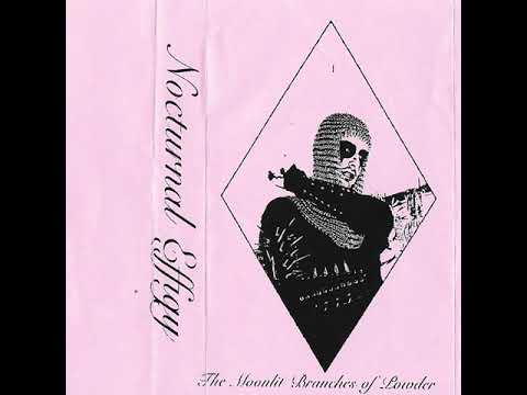 Nocturnal Effigy - The Moonlit Branches of Powder (Full)