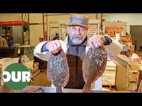 The Billion Dollar New Fulton Fish Market in New York | World's Greatest Food Markets