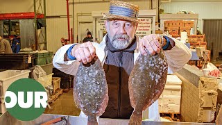 The Billion Dollar New Fulton Fish Market in New York | World