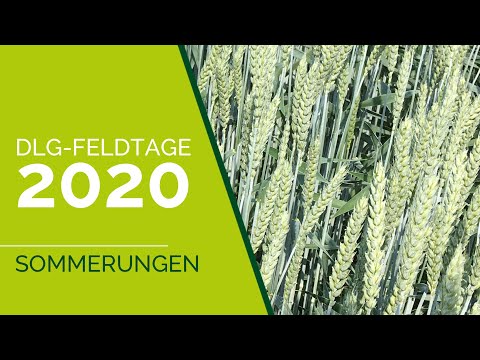 DLG-Feldtage 2020 | Sommerungen