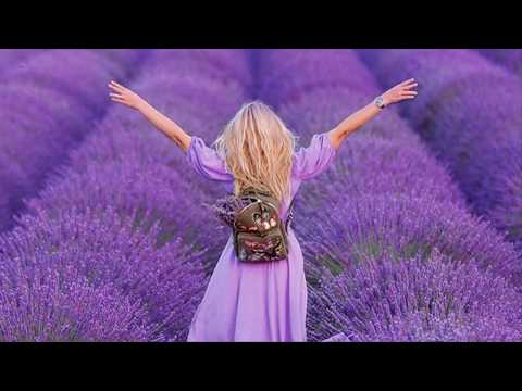 Xerxes and Phoenix - Let it go