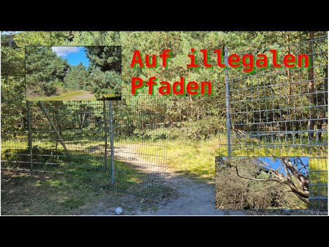 Auf geheimer Mission #S01E07