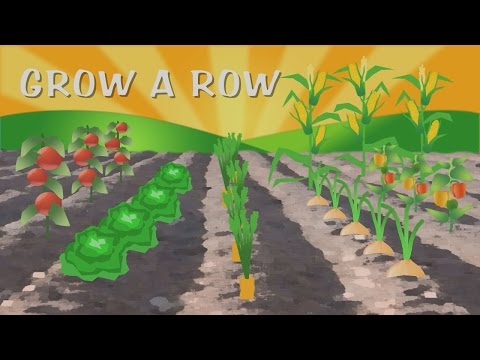 Play YouTube Video