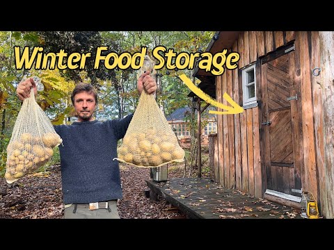 Prepping Food For Winter At My Off-Grid Cabin | Alone In The Forest