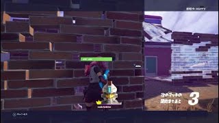 Fortnite_すげえの撮れた
