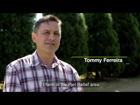 Syngenta Agriclime Testimonial