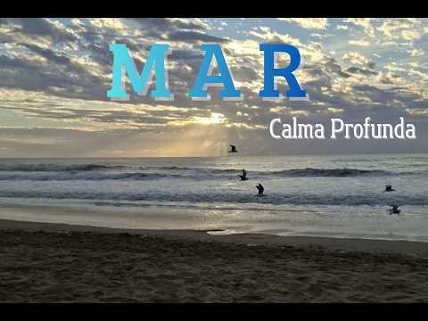 Mar al amanecer en Pinamar🌊  8 Horas de sonido del océano #meditaconnormiasmr #OceanSounds