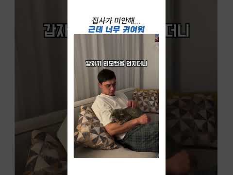 집사가 미안해 근데 너무 귀여워