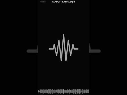 LEADER - LATINA (feat. RICTA?)