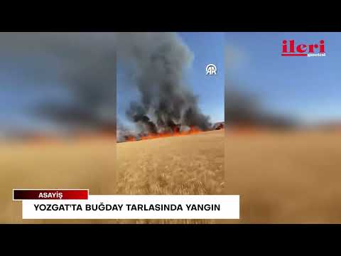 Yozgat'ta buğday tarlasında yangın | İleri Gazetesi