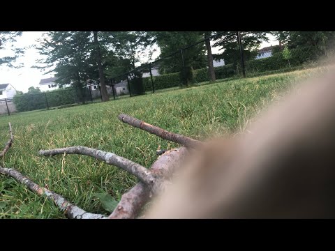 Video thumbnail WOCD307fCzs