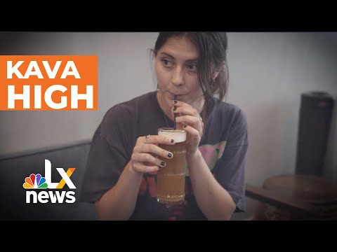 Kava, Is It Right For You? | LX News