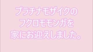 フクロモモンガ　プラチナモザイクお迎え