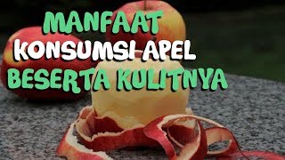 Jangan Kupas Kulit Apel saat Mengonsumsinya! Berikut Manfaat Makan Apel Beserta Kulitnya