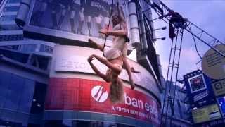 Natural Wings -Doubles Trapeze. Winners at Toronto Buskerfest