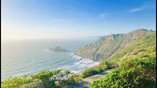 Mr. & Mrs. Ishino の Cinematic Vlog のライブ配信