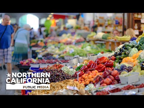 download lagu mp3 mp4 Sf Bay Area Farmers Markets, download lagu Sf Bay Area Farmers Markets gratis, unduh video klip Sf Bay Area Farmers Markets