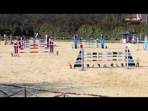 Light Blue del Pietriccio Rosso Pistoia19-3-2016 C135