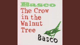 Magpie Jig / The Camel Polka