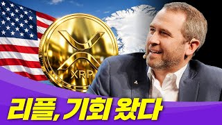리플, 기회 왔다