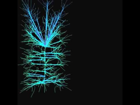 Swarm Intelligence III: paths optimisation