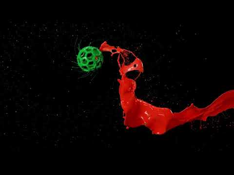 SPINNING TOYS Eizo Monitor Promotional Video