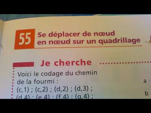 Quel quadrillage?Quel noeud?