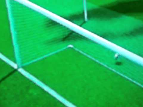 But de Kévin Bérigaud (Evian TG) sur Fifa 11 Wii.AVI