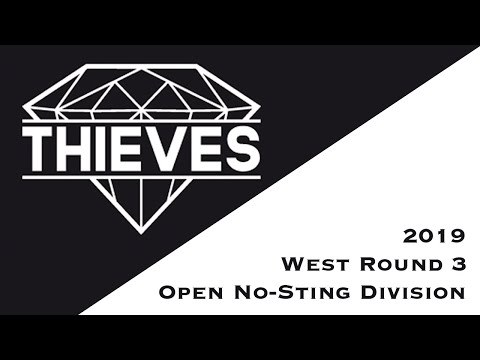 2019 Elite Dodgeball | WR3 NoSting ELIM3 Thieves vs ReignBros Part2