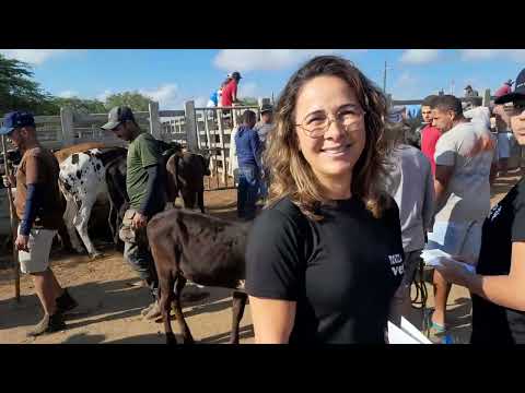 Feira do Gado em Campina Grande Paraíba 15/10/2025 $$