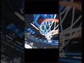 Gee Willikers Alex Schor X Timberwolves Edit Basketball Gymclass Nba Gymclassvr