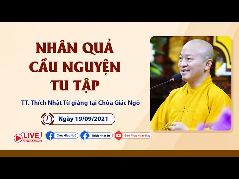 Nhân quả, cầu nguyện và tu tập
