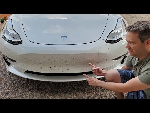 600+ Mile Road Trip Worth of Bugs. How I Cleaned It